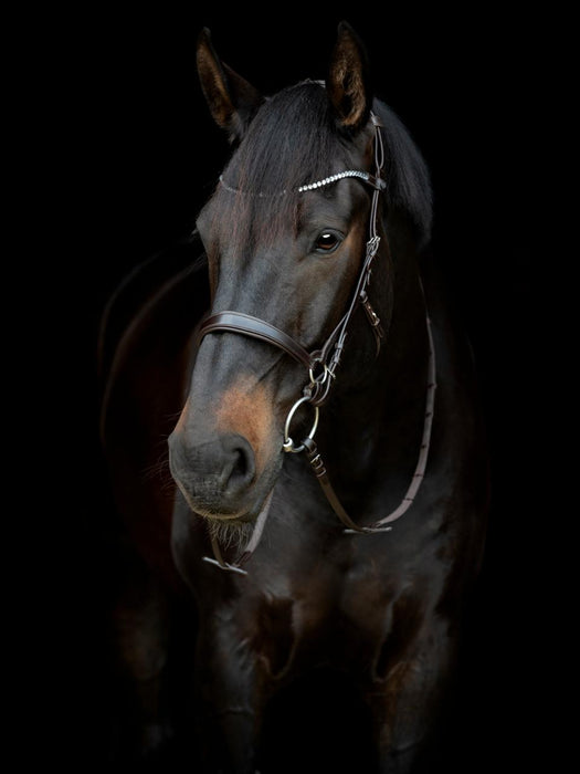 Catago - gentle noseband brun