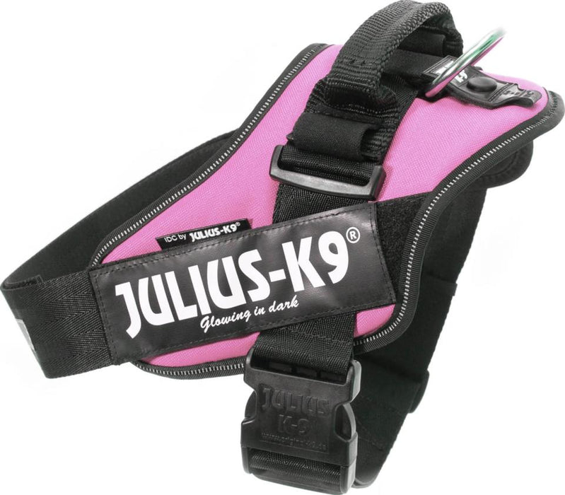 Julius-K9 - idc sele, 29-36 cm pink