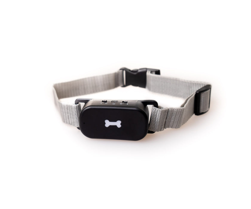 Active Canis - no bark collar, large 35-68 cm